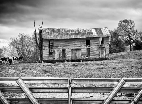 monochrome black and white country