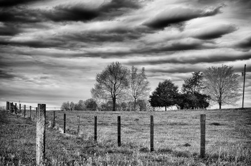 monochrome black and white landscape