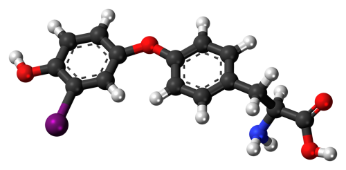 monoiodothyronine molecule aromatic