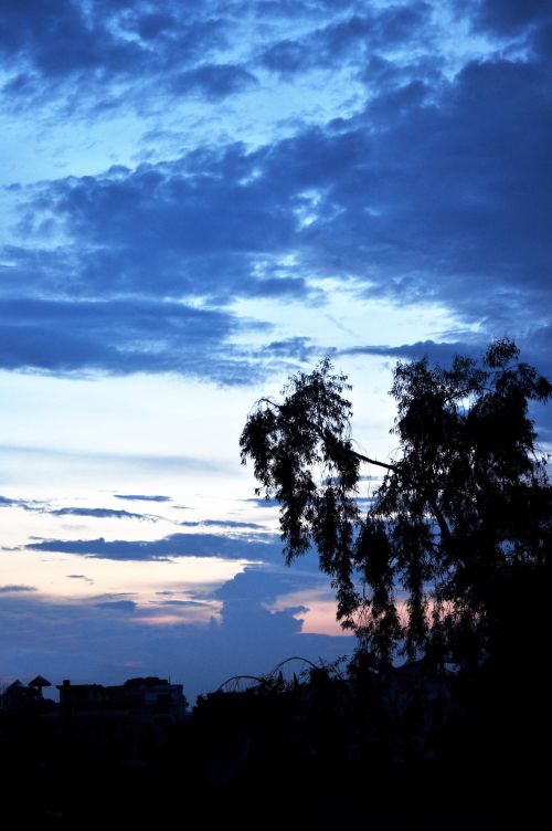 Monsoon Evening