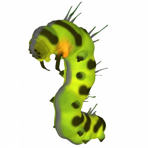 Monster Caterpillar