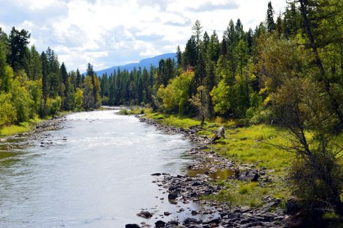 montana river landscape