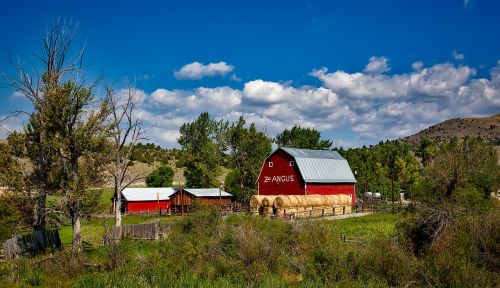 montana farm ranch