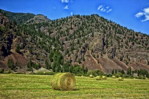 montana hay bales mountains
