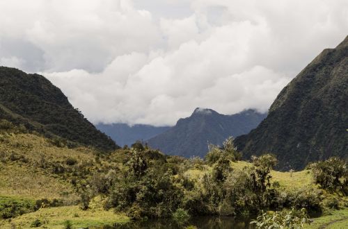 montane forest peruvian biodiversity peruvian amazon biodiversity