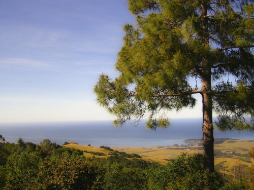 monterrey coastline california