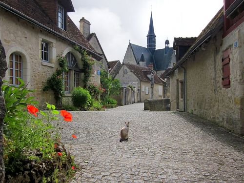 montrésor village loire