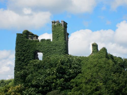 monument ireland vegetation