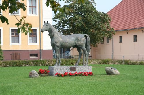 monument still image breeding stallion