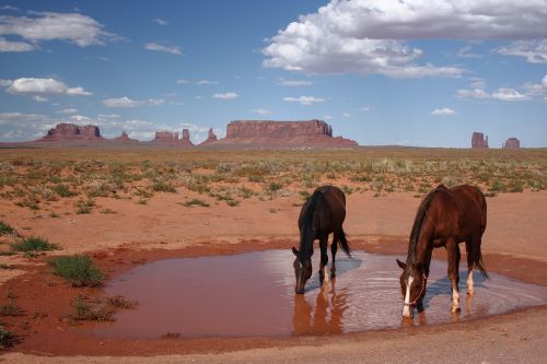 usa arizona monument valley