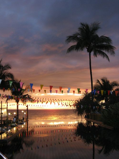 mood palm trees thailand