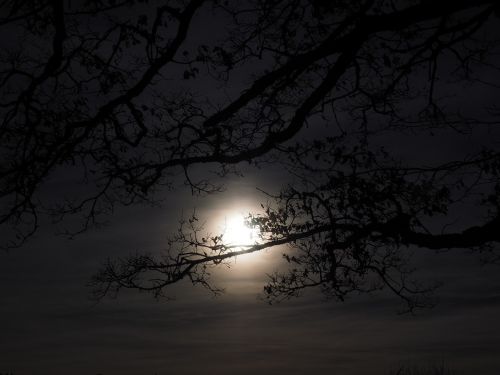 moon moonlight full moon