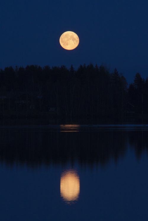 moon moonrise evening