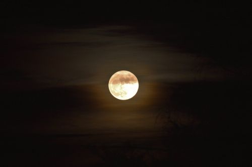moon moonlight atmosphere