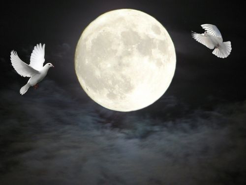 moon doves clouds