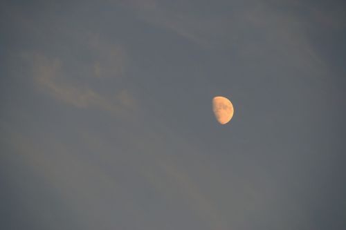 moon day half