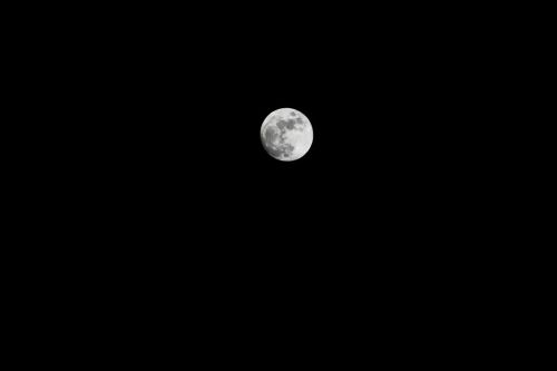 moon night moon at night
