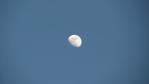moon blue sky daytime