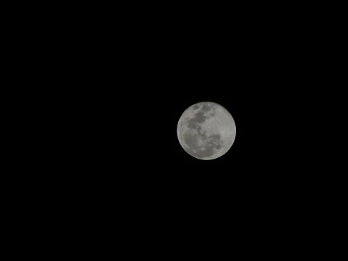 moon full moon moon by night
