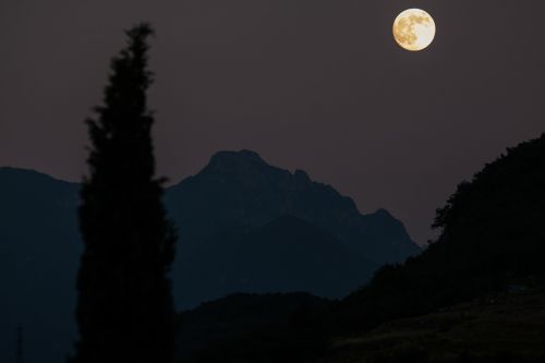 moon cypress mountains
