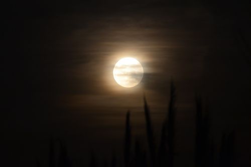 moon night night landscape