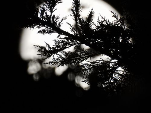 moon night night photo