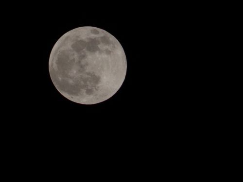 moon night lunar surface