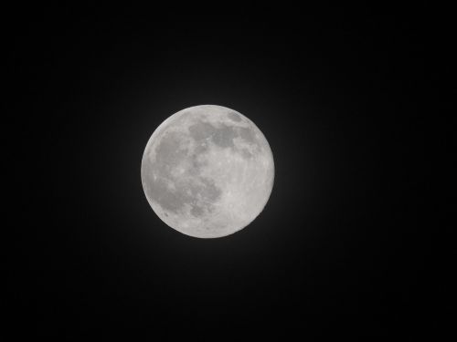 moon light night