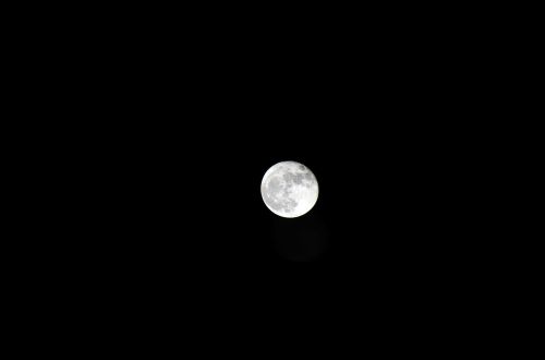 moon night moon at night