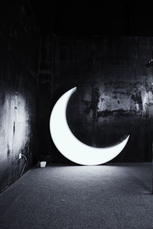 moon light black and white