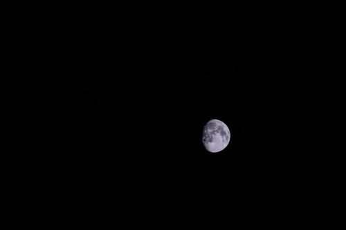 moon night moonlight