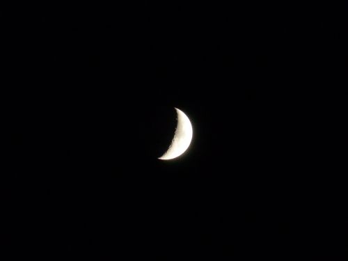 moon crescent sickle