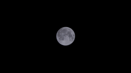 moon full moon the night sky