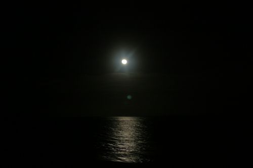moon night moon night