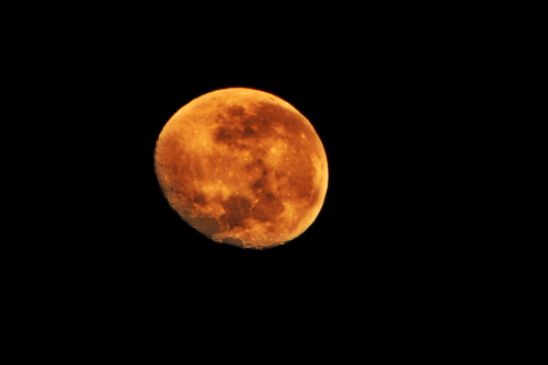 moon night orange