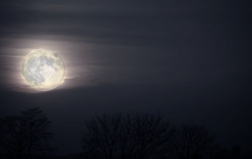 moon night landscape