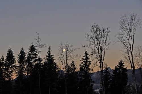 moon landscape evening