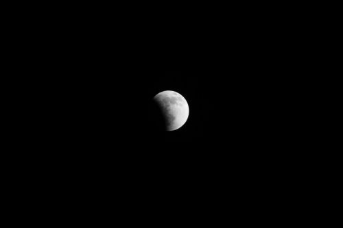 moon night luna