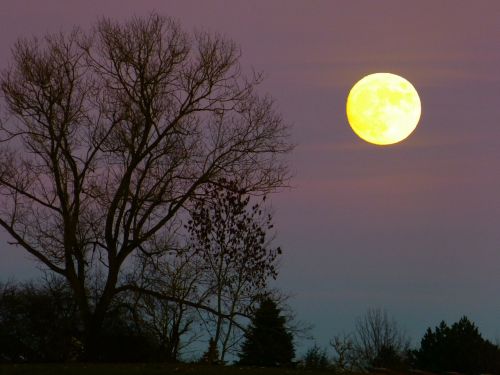 moon full moon moonrise