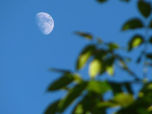 moon half moon sky