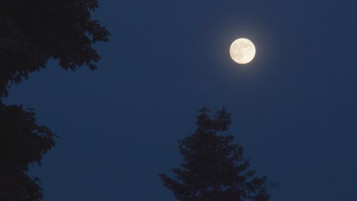 moon evening full moon