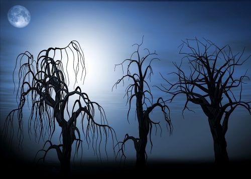 moon night tree