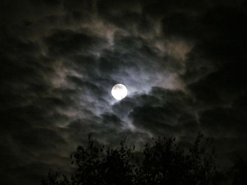 moon moonlight night