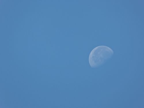 moon sky half moon
