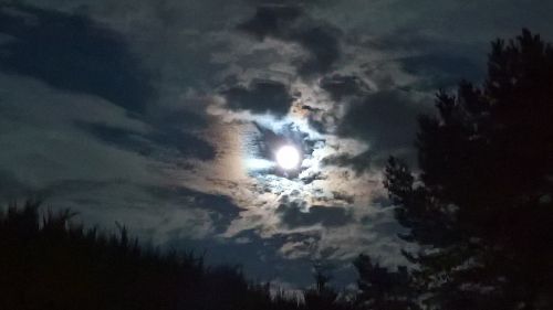 moon clouds evening