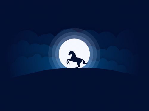 moon horse night