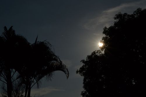 moon silhouette night