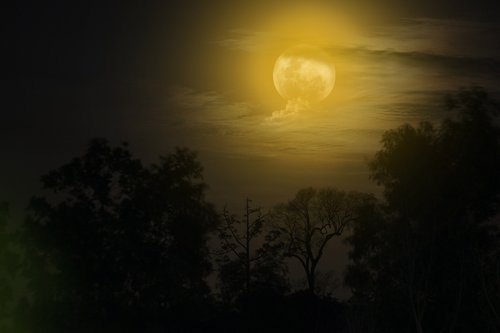 moon  night  nightshoot
