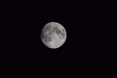 moon  full moon  night