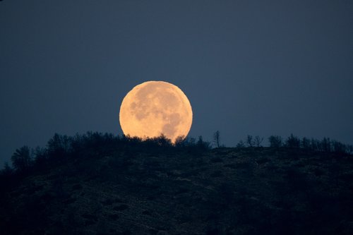 moon  full  night